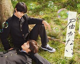 爆乳不倫妻海报剧照