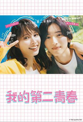 美国爱情的故事海报剧照